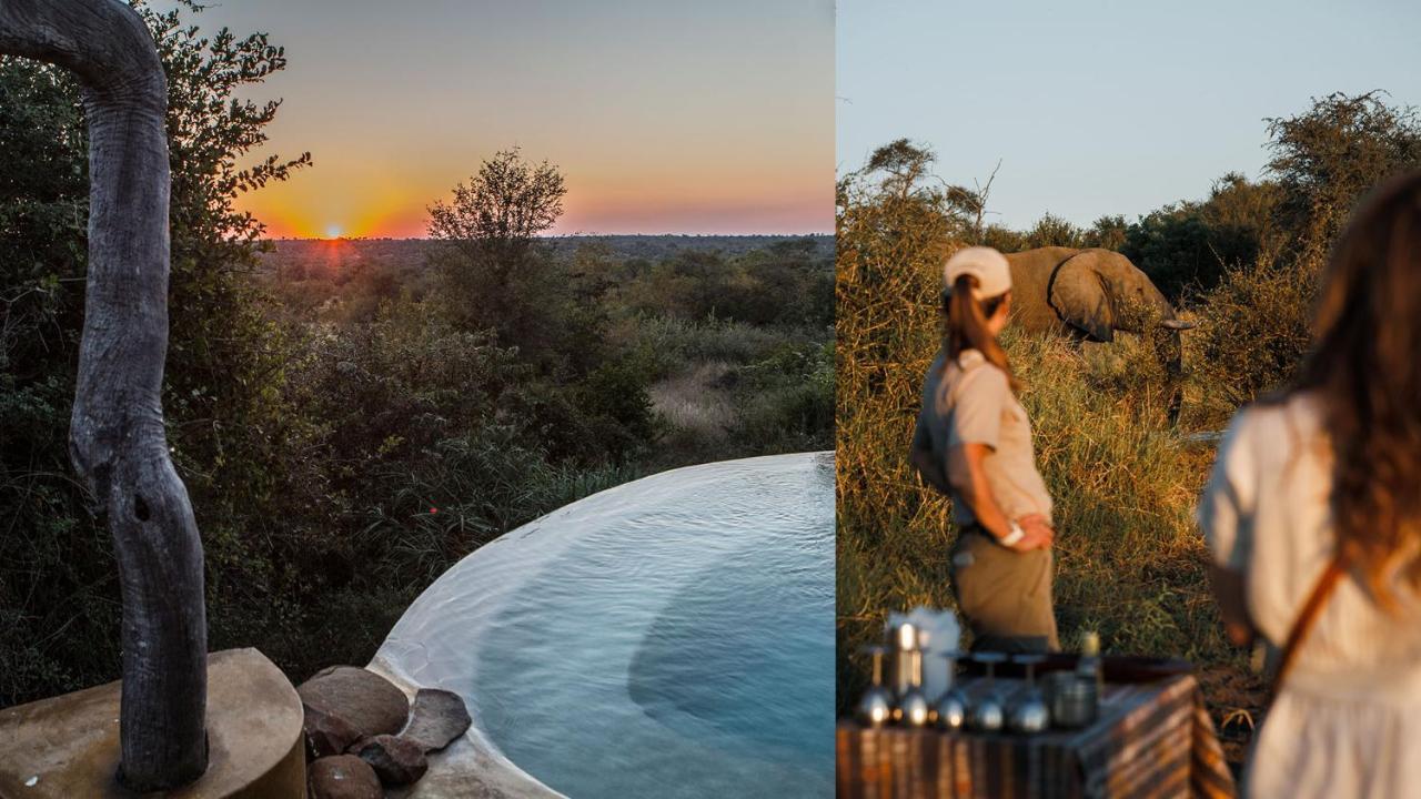 Geiger'S Camp In Timbavati Game Reserve By Newmark エクステリア 写真